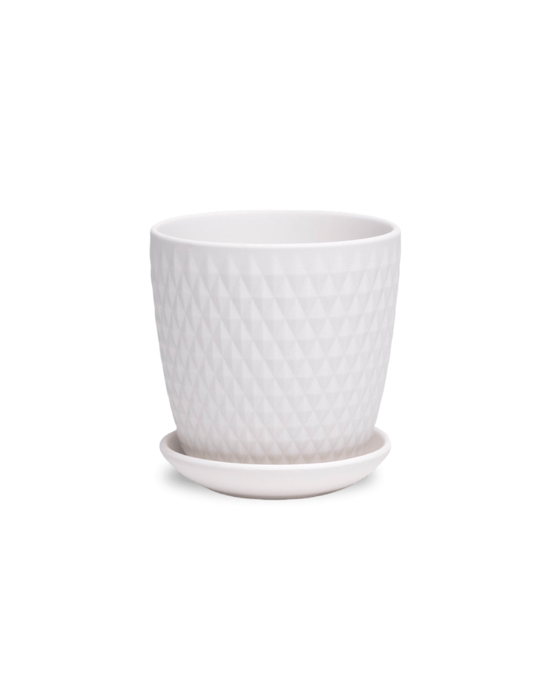 Virago 3.5" Porcelain Pot With Drainage Hole And Saucer - Chive Ceramics Studio - Pots - Chive Ceramics Studio