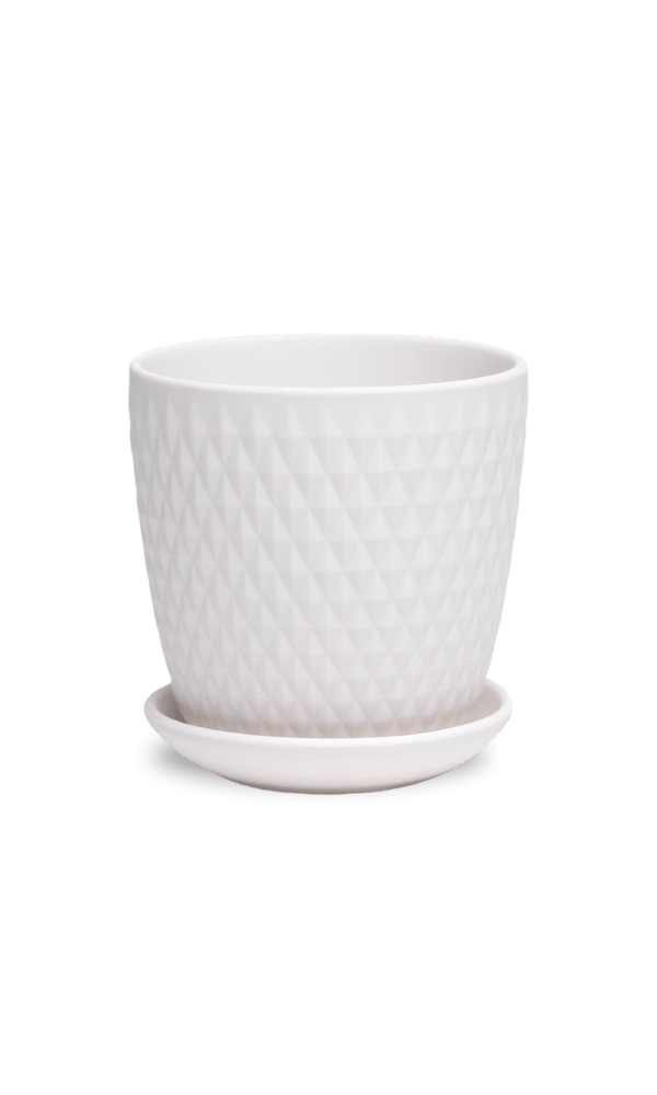 Virago 3.5" Porcelain Pot With Drainage Hole And Saucer - Chive Ceramics Studio - Pots - Chive Ceramics Studio