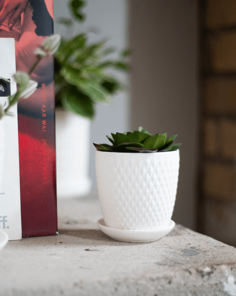 Virago 3.5" Porcelain Pot With Drainage Hole And Saucer - Chive Ceramics Studio - Pots - Chive Ceramics Studio