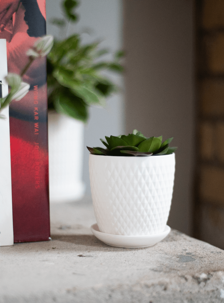 Virago 3.5" Porcelain Pot With Drainage Hole And Saucer - Chive Ceramics Studio - Pots - Chive Ceramics Studio