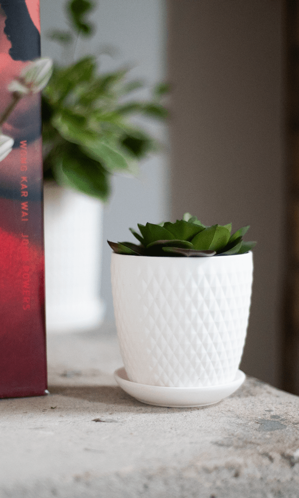 Virago 3.5" Porcelain Pot With Drainage Hole And Saucer - Chive Ceramics Studio - Pots - Chive Ceramics Studio