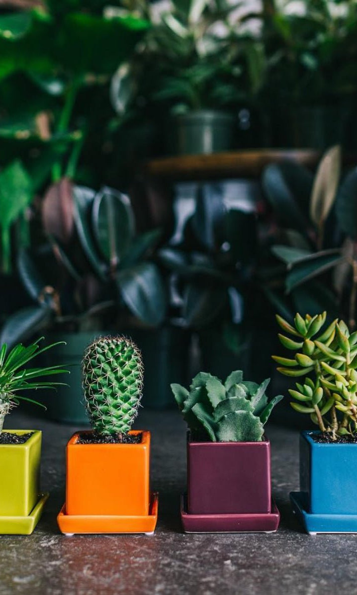 Cube & Saucer Ceramic Pot With Drainage Hole - Chive Ceramics Studio - Pots - Chive Ceramics Studio