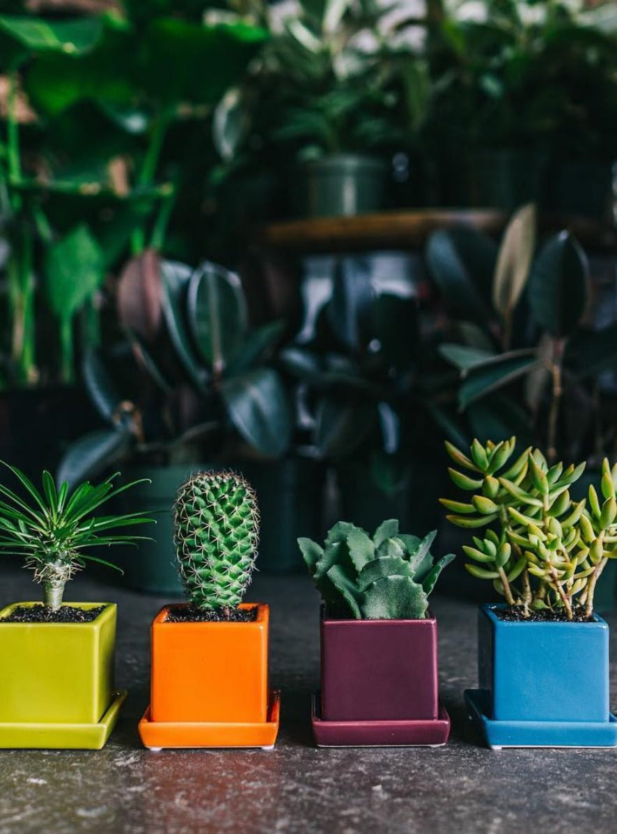 Cube & Saucer Ceramic Pot With Drainage Hole - Chive Ceramics Studio - Pots - Chive Ceramics Studio
