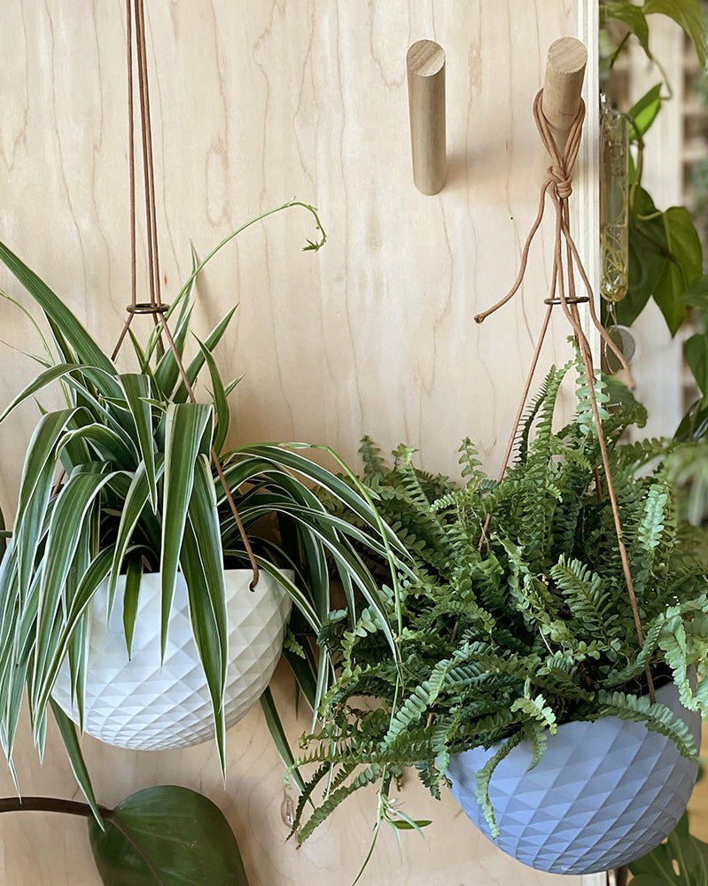 Wood Wall Hook For Planters - Chive Ceramics Studio - Tools & Accessories - Chive US