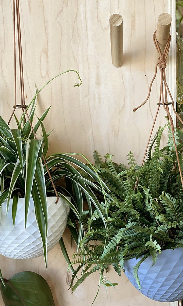 Wood Wall Hook For Planters - Chive Ceramics Studio - Tools & Accessories - Chive US
