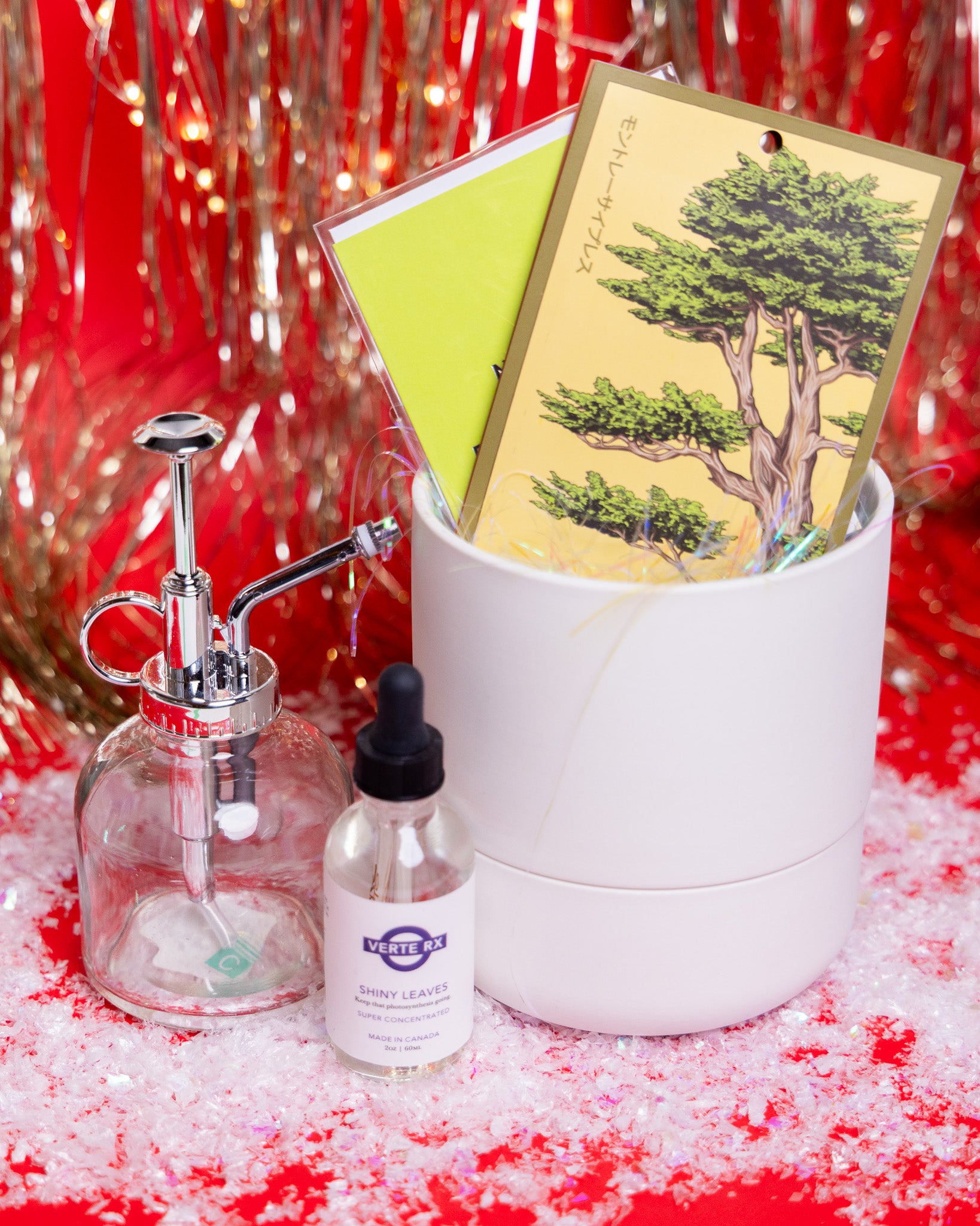 For Someone Whose Plants Have Better Healthcare Than Most Americans - Chive Ceramics Studio - Chive Ceramics Studio