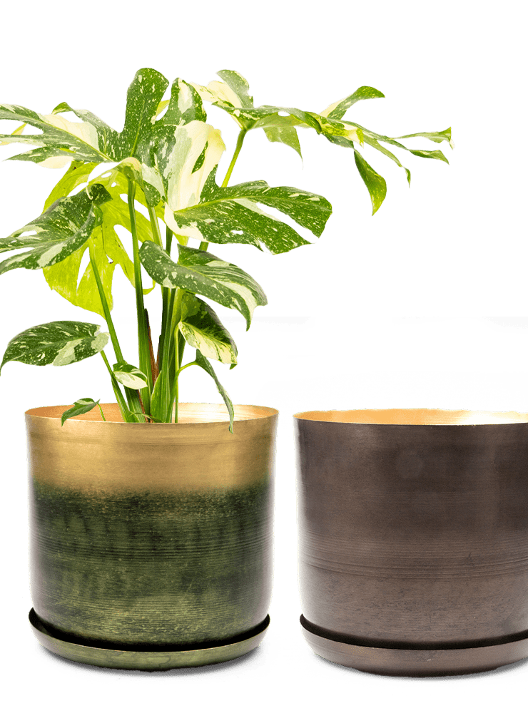 Joe Metal Pot With Drainage Hole | 7, 8, 10 & 12 inches - Chive Ceramics Studio - Pots - Chive Ceramics Studio