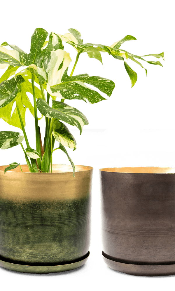 Joe Metal Pot With Drainage Hole | 7, 8, 10 & 12 inches - Chive Ceramics Studio - Pots - Chive Ceramics Studio