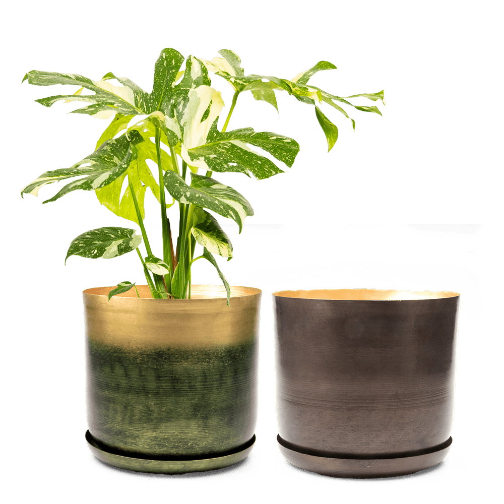 Joe Metal Pot With Drainage Hole | 7, 8, 10 & 12 inches - Chive Ceramics Studio - Pots - Chive Ceramics Studio