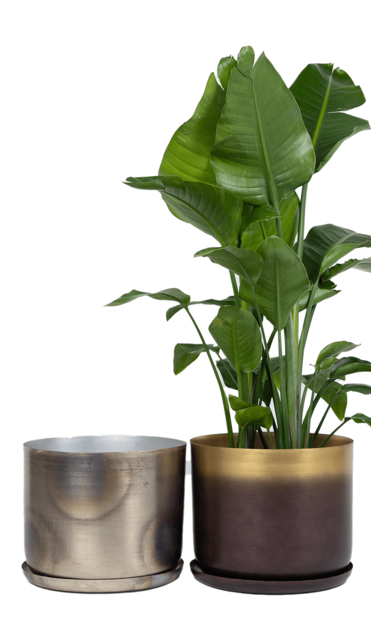 Joe Metal Pot With Drainage Hole - Chive Ceramics Studio - Pots - Chive US