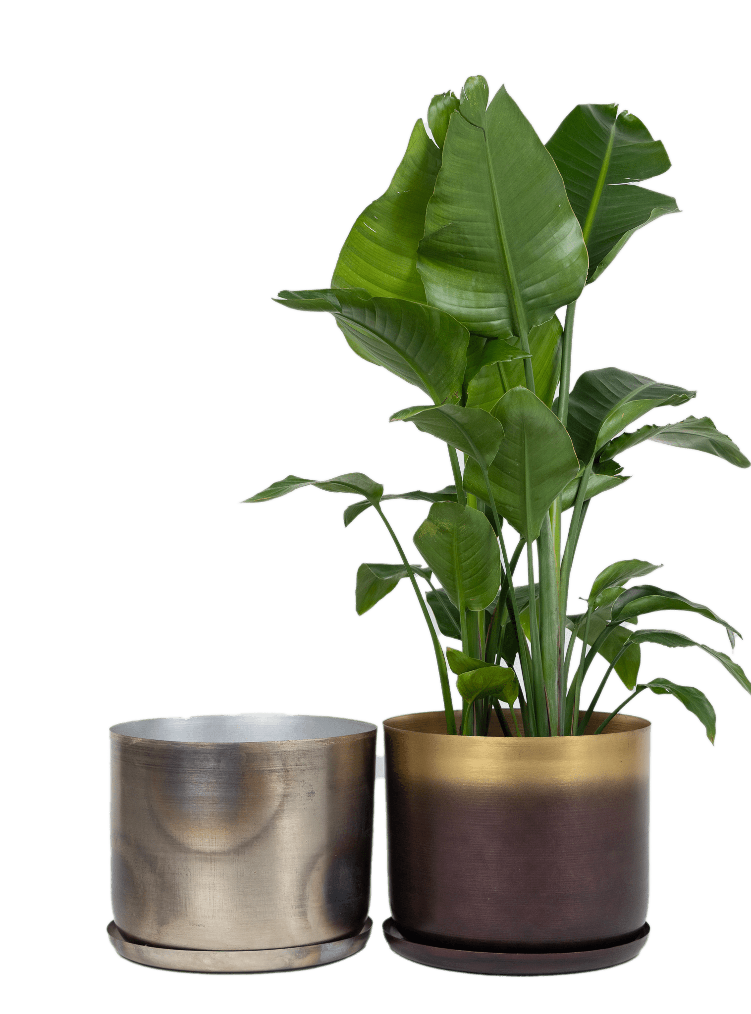 Joe Metal Pot With Drainage Hole - Chive Ceramics Studio - Pots - Chive US