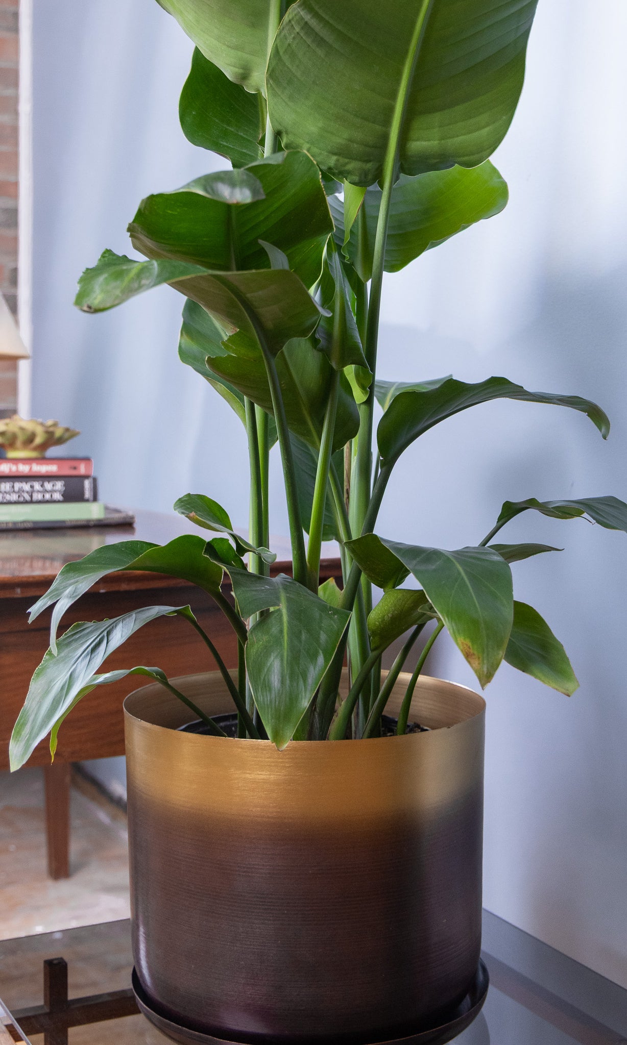 Joe Metal Pot With Drainage Hole - Chive Ceramics Studio - Pots - Chive US