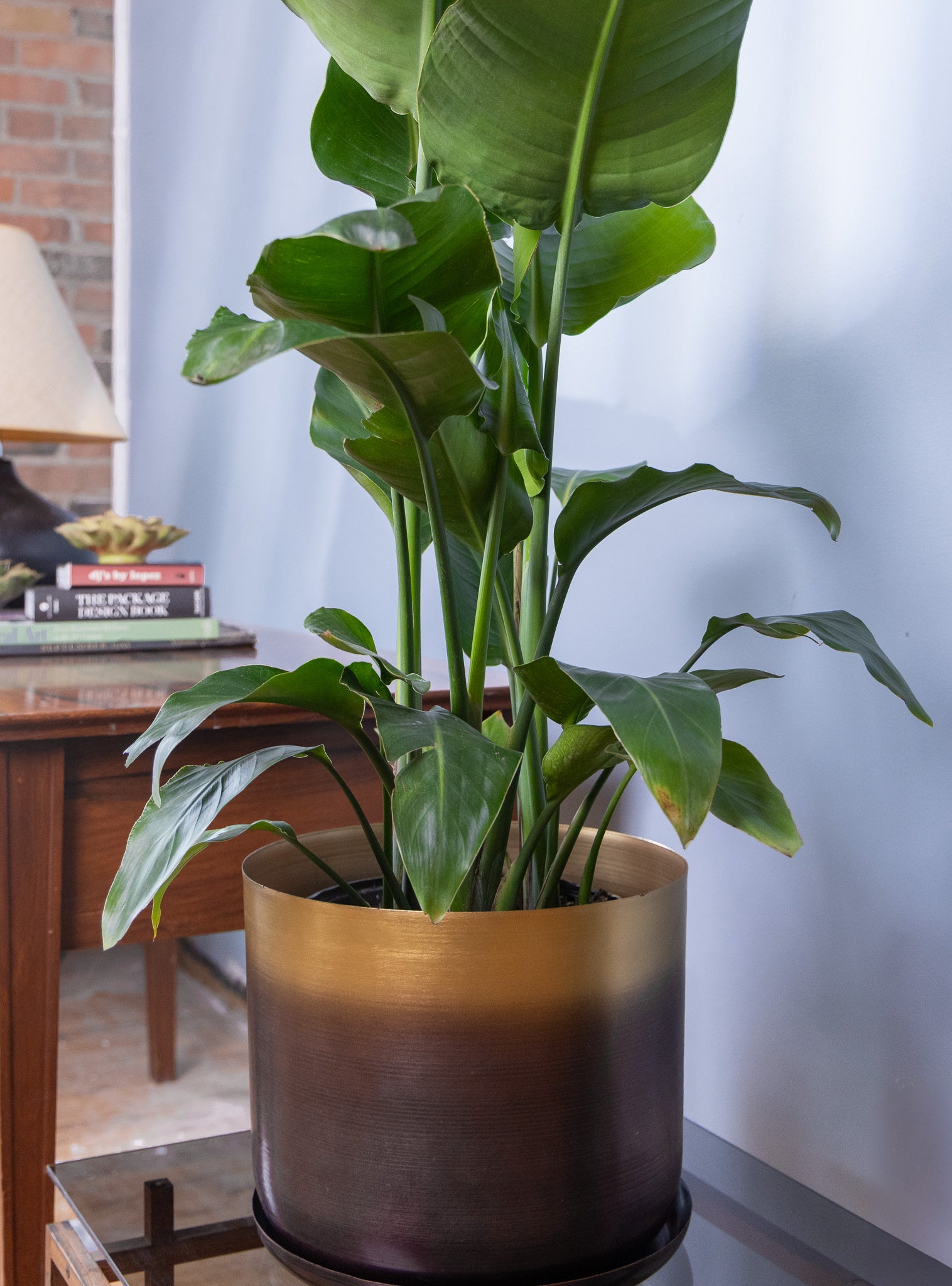 Joe Metal Pot With Drainage Hole - Chive Ceramics Studio - Pots - Chive US