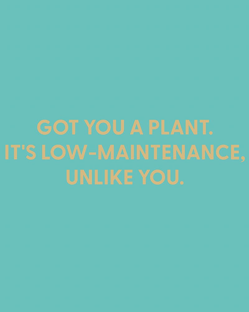 Got you a plant. It's low - maintenance, unlike you. - Greeting Card - Chive Ceramics Studio - Cards - Chive Ceramics Studio