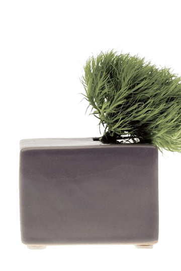 Cube Ceramic Flower Vase - Chive Ceramics Studio - Vases - Chive US