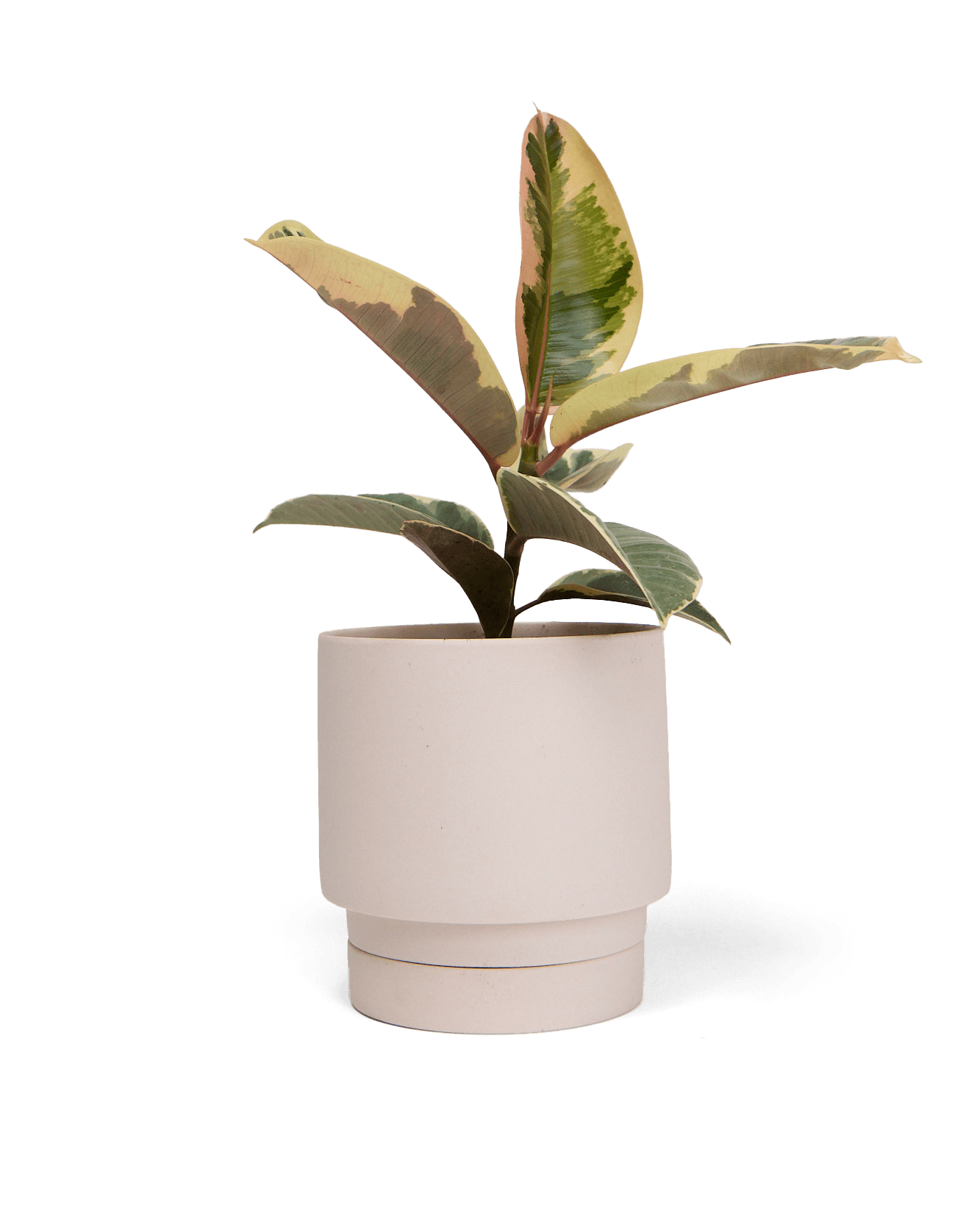 Casey Porcelain Modern Pot And Saucer Set - Chive Ceramics Studio - Pots - Chive Ceramics Studio