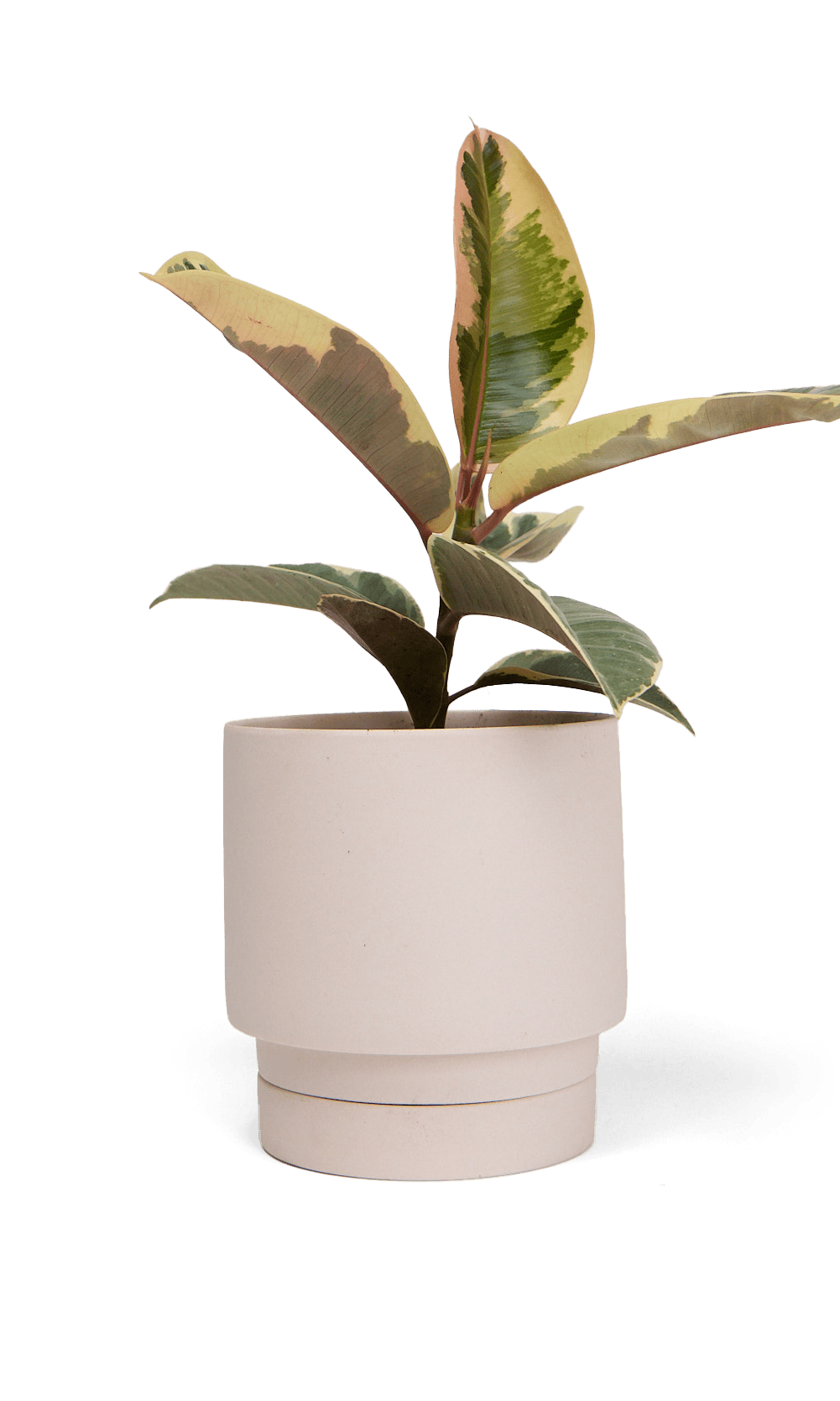 Casey Porcelain Modern Pot And Saucer Set - Chive Ceramics Studio - Pots - Chive Ceramics Studio