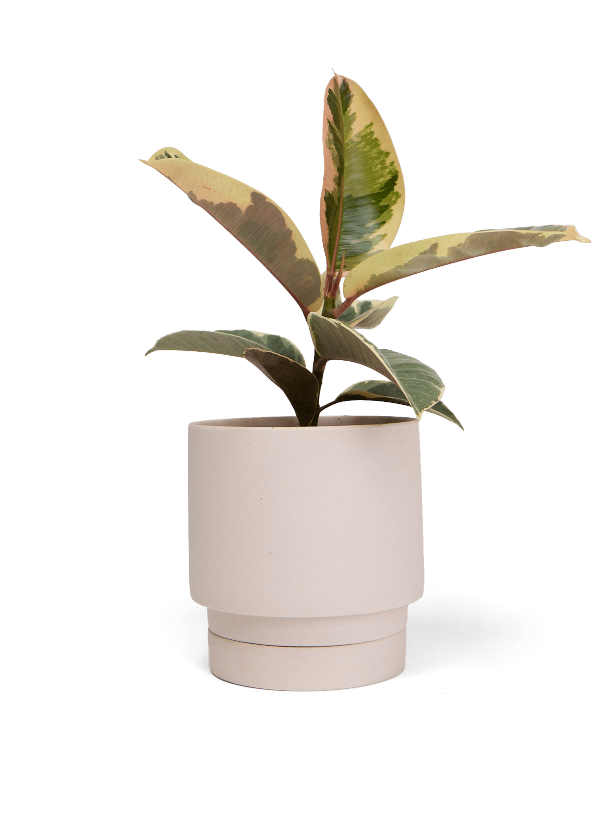 Casey Porcelain Modern Pot And Saucer Set - Chive Ceramics Studio - Pots - Chive Ceramics Studio