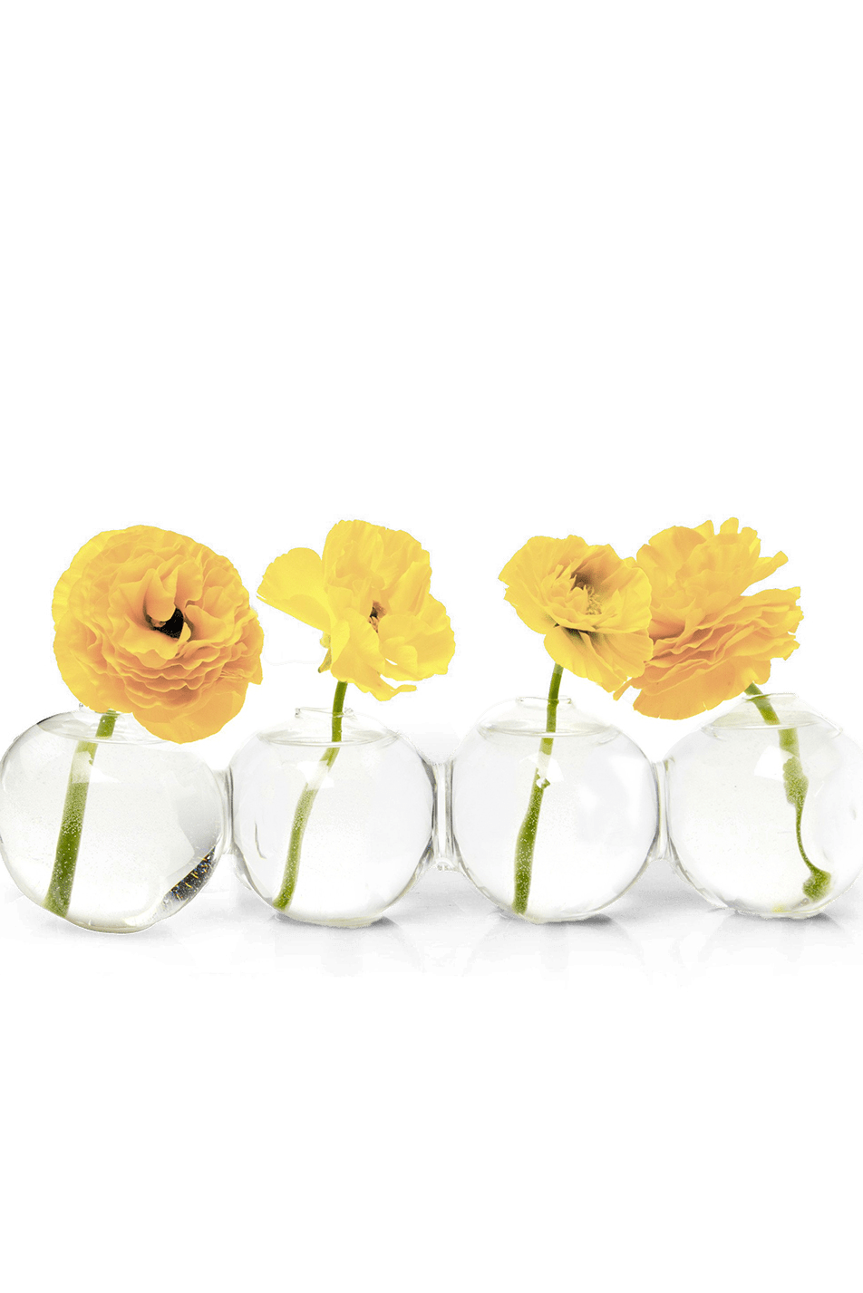 Caterpillar Glass Modern Clear Flower Vase - Chive Ceramics Studio - Vases - Chive Ceramics Studio