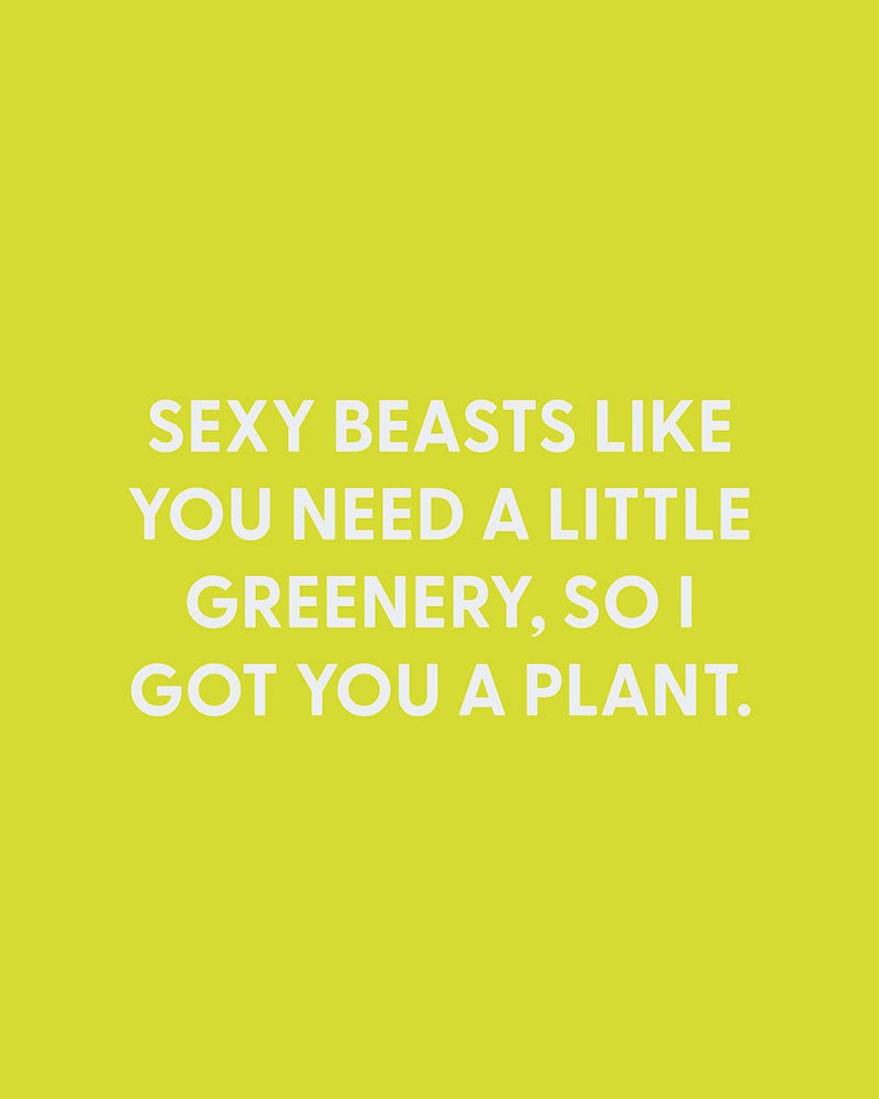 Sexy beasts like you need a little greenery, so I got you a plant. - Greeting Card - Chive Ceramics Studio - Cards - Chive Ceramics Studio