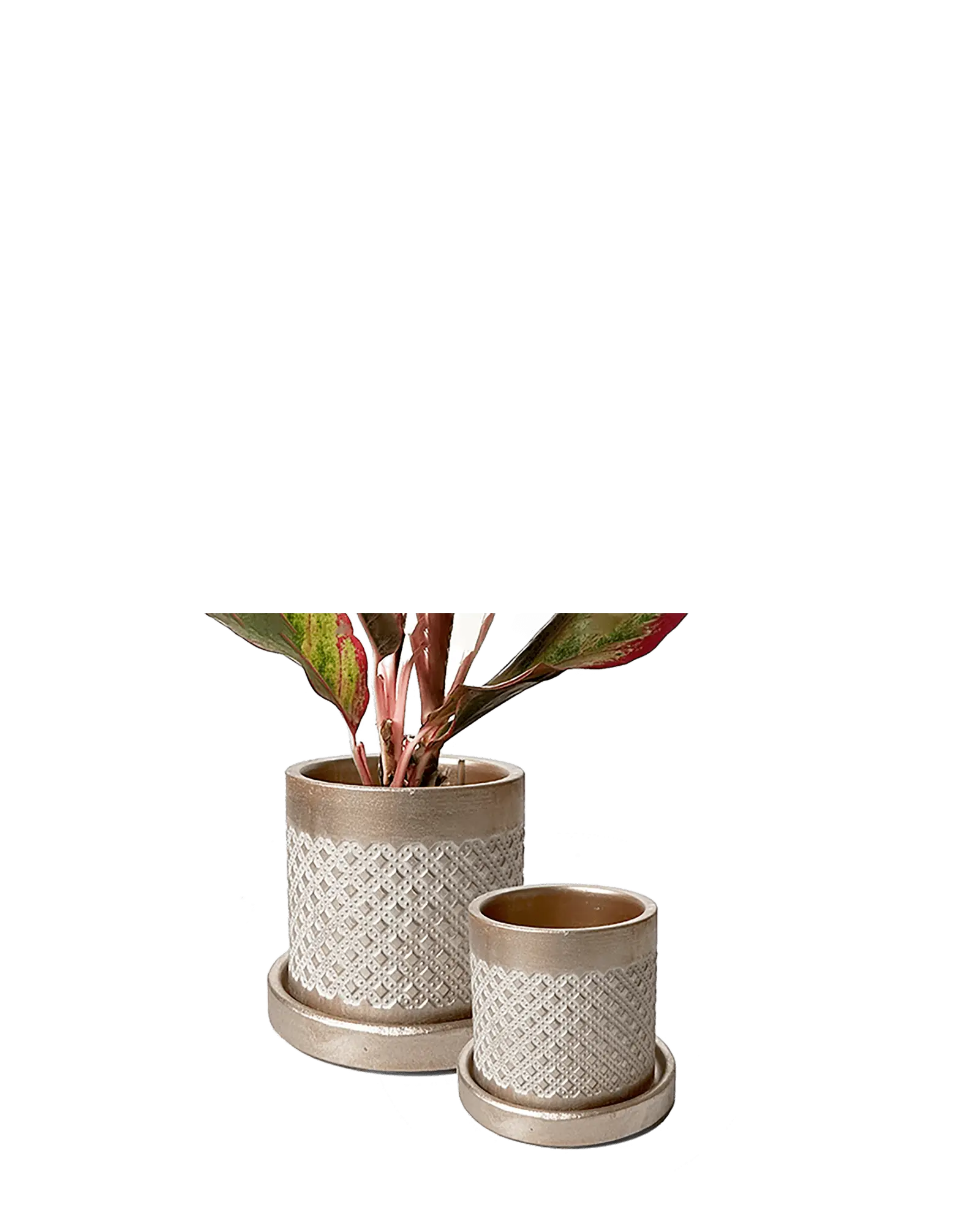 Chive Balter gold ceramic planters in two sizes with diamond lattice texture and matching saucers.