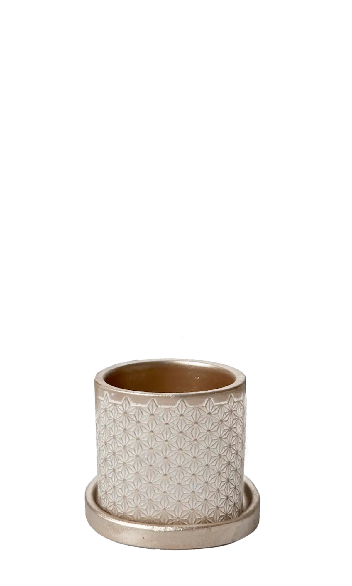 Chive Balter ceramic planter in gold with an embossed star geometric pattern and matching saucer.
