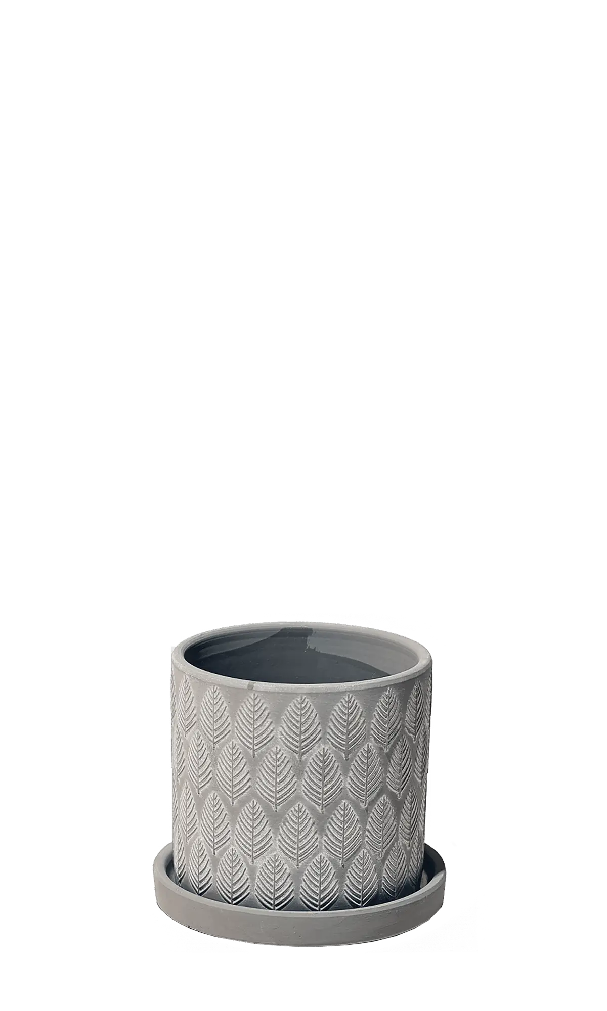 Chive Balter ceramic planter in grey with an embossed leaf pattern and matching saucer.