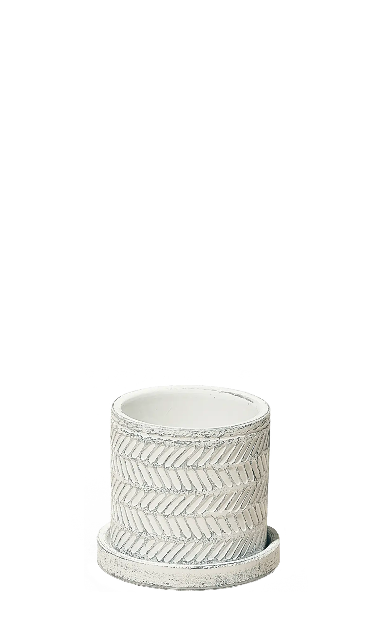 Chive Balter white leaves ceramic planter with an embossed herringbone leaf pattern and matching saucer.