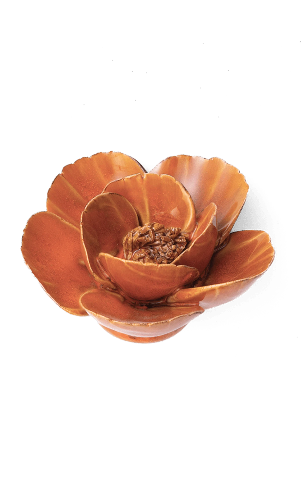 Chive August Birth Flower Poppy burnt orange ceramic flower side view showing petal depth and glossy glazed finish.