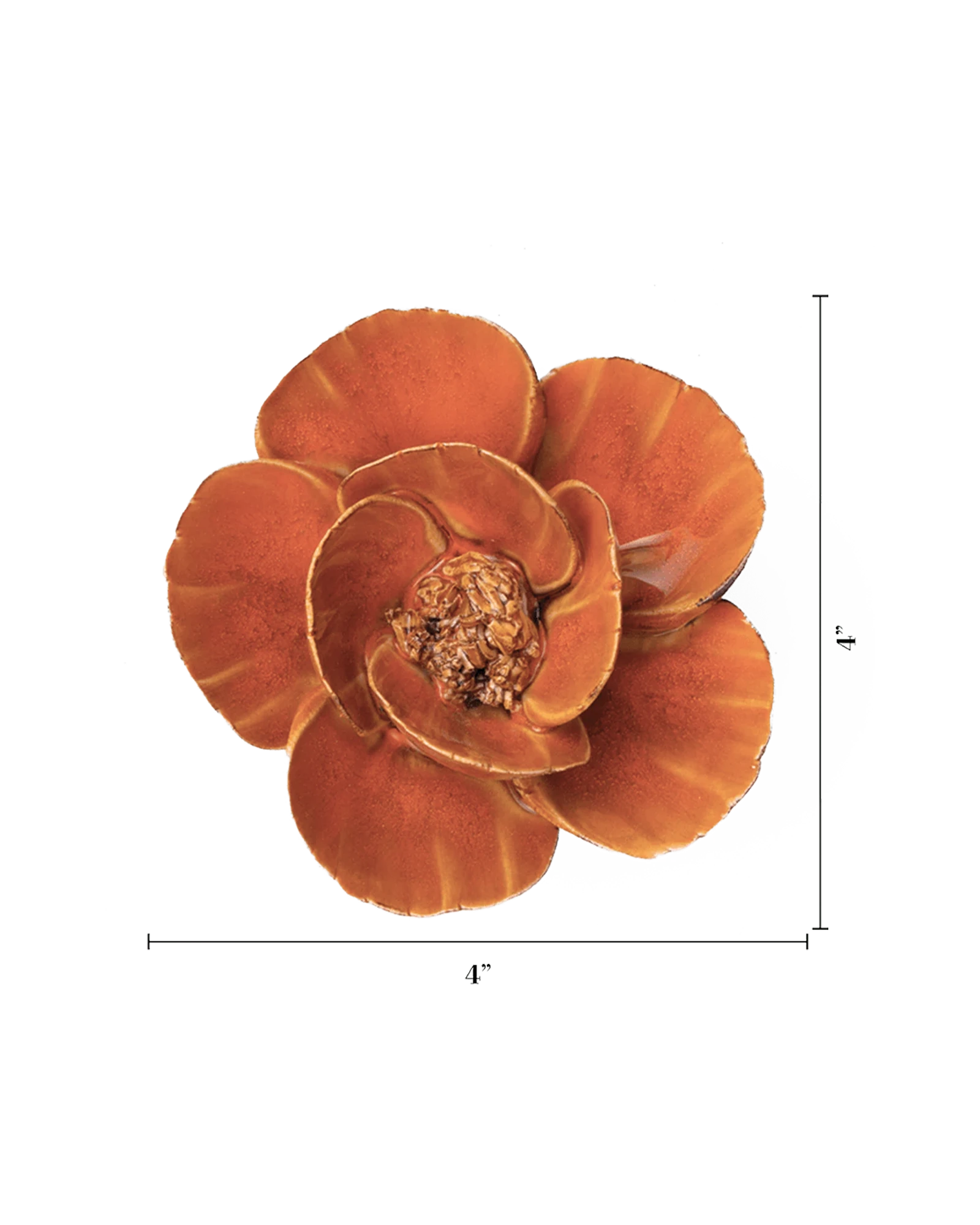 Chive August Birth Flower Poppy burnt orange ceramic flower size chart showing height and width dimensions.