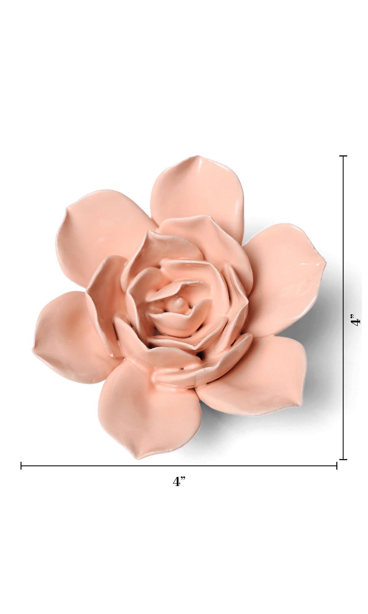 Chive December Birth Flower Narcissus apricot pink ceramic flower size chart showing height and width dimensions.