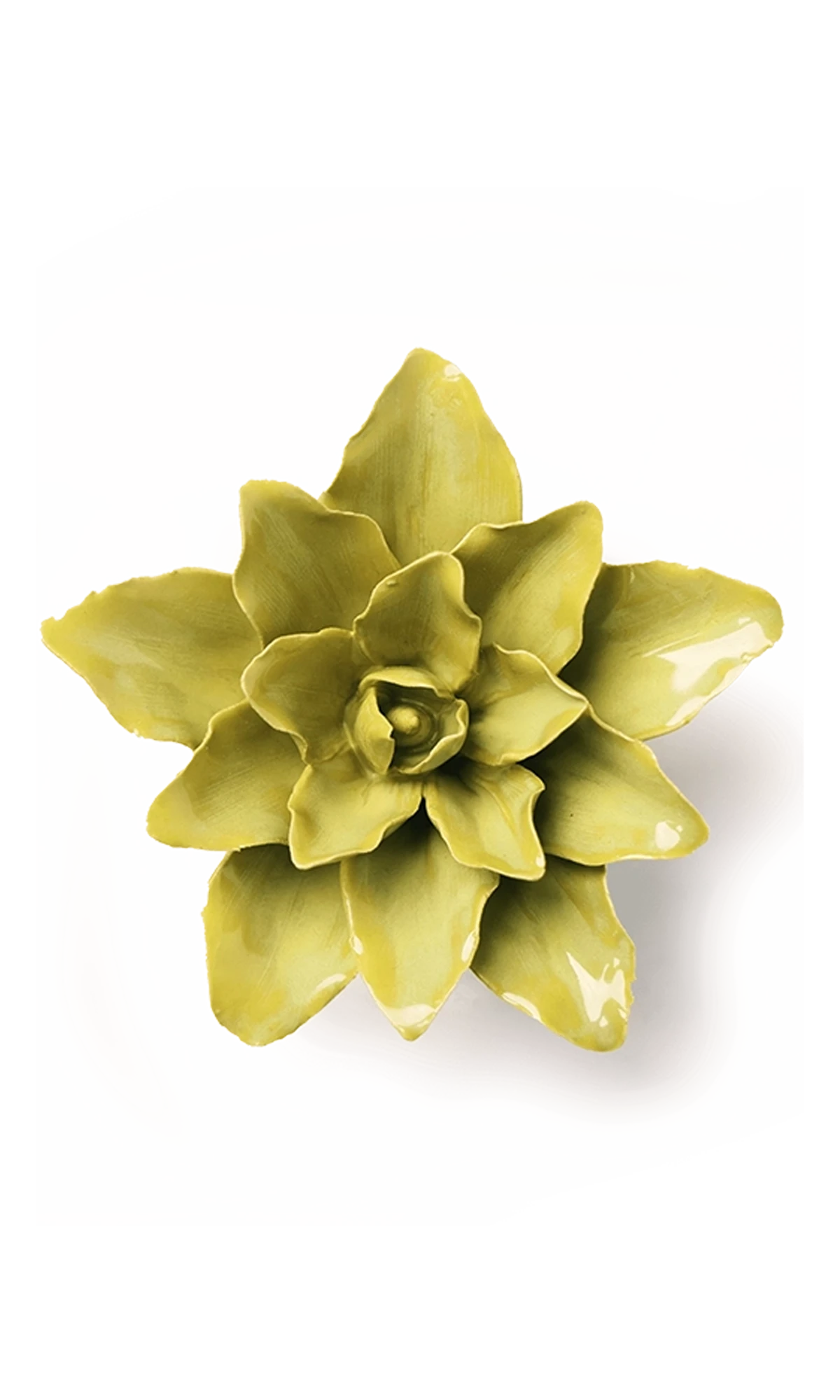 Chive July Birth Flower Water Lily chartreuse green glazed ceramic flower.