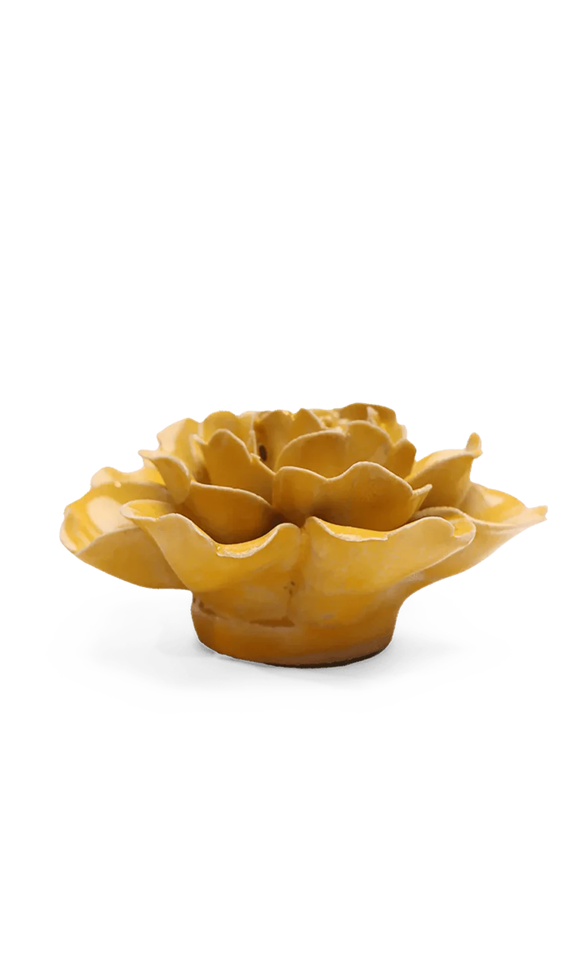 Chive June Birth Flower Rose burnt yellow ceramic flower side view showing petal depth and glossy glazed finish.