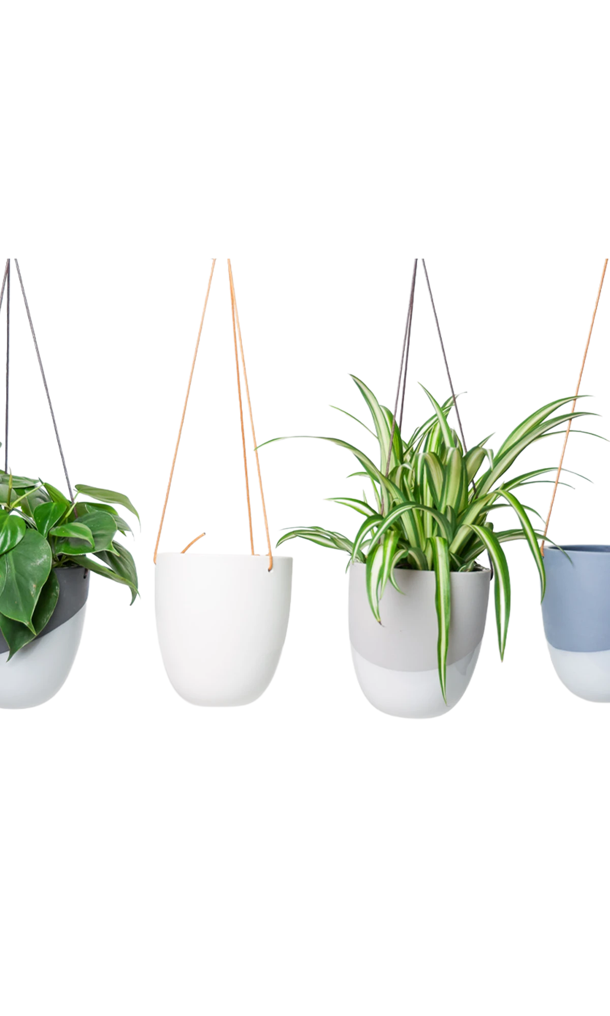 Chive Bobbin porcelain hanging planters in black, white, blue grey, and light grey, styled with spider plant and philodendron.