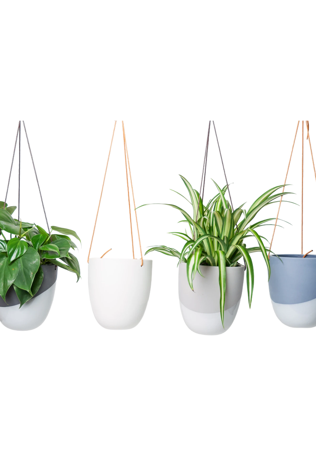 Chive Bobbin porcelain hanging planters in black, white, blue grey, and light grey, styled with spider plant and philodendron.