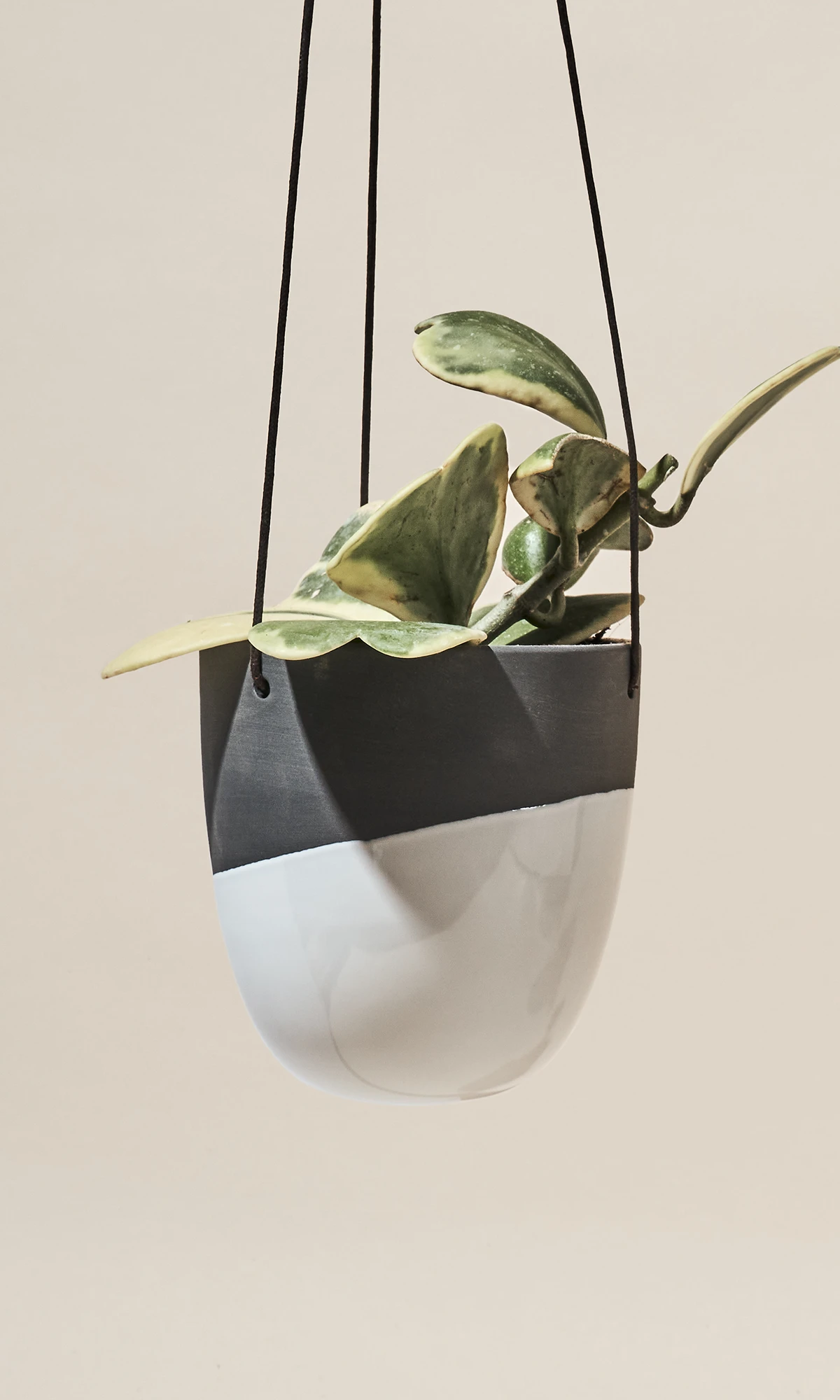 Chive Bobbin black porcelain hanging planters styled with plants against a neutral background.