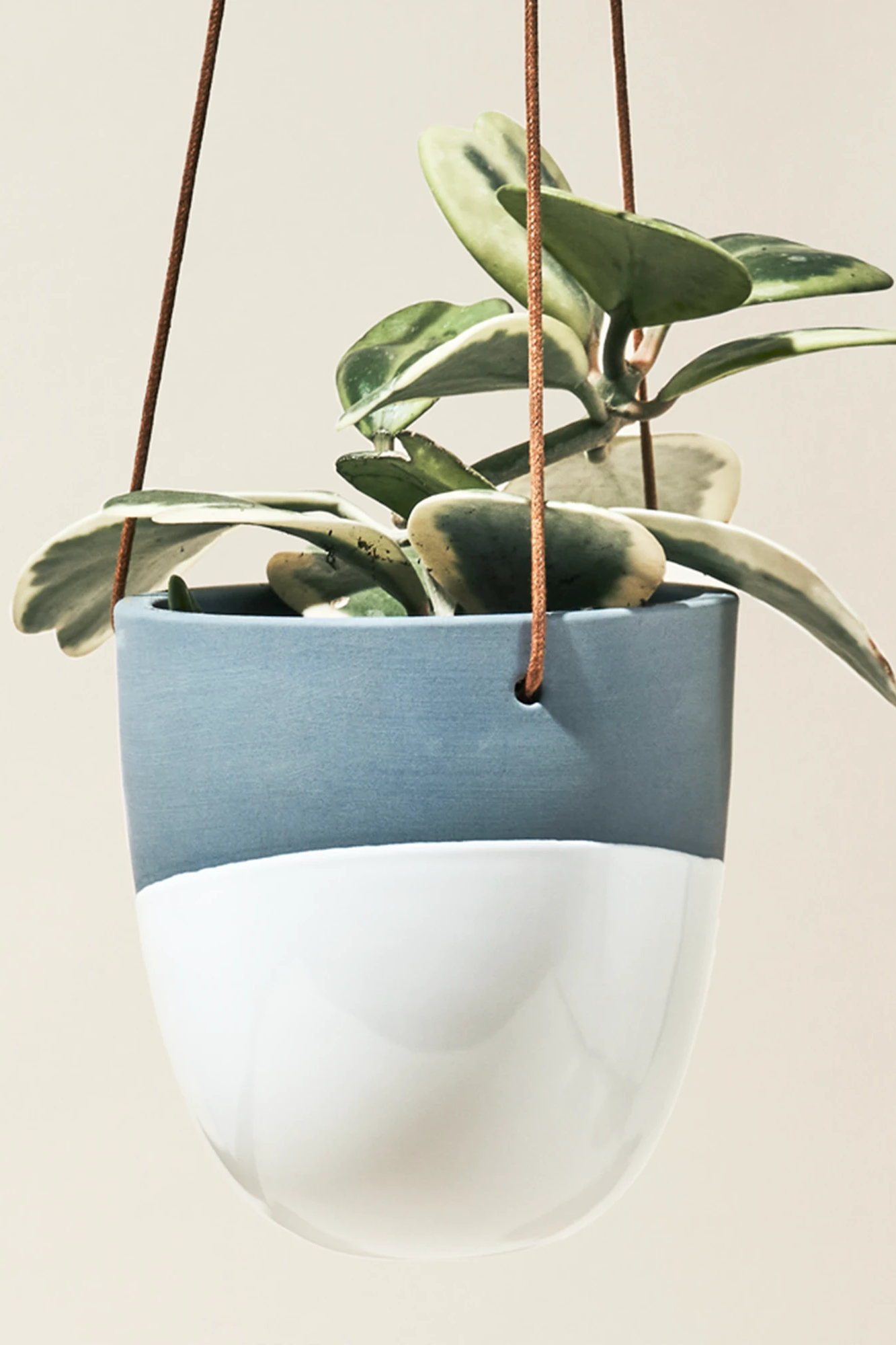Chive Bobbin blue grey porcelain hanging planters styled with plants against a neutral background.