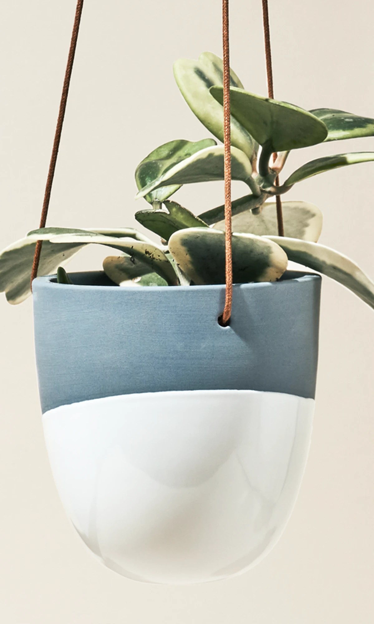 Chive Bobbin blue grey porcelain hanging planters styled with plants against a neutral background.