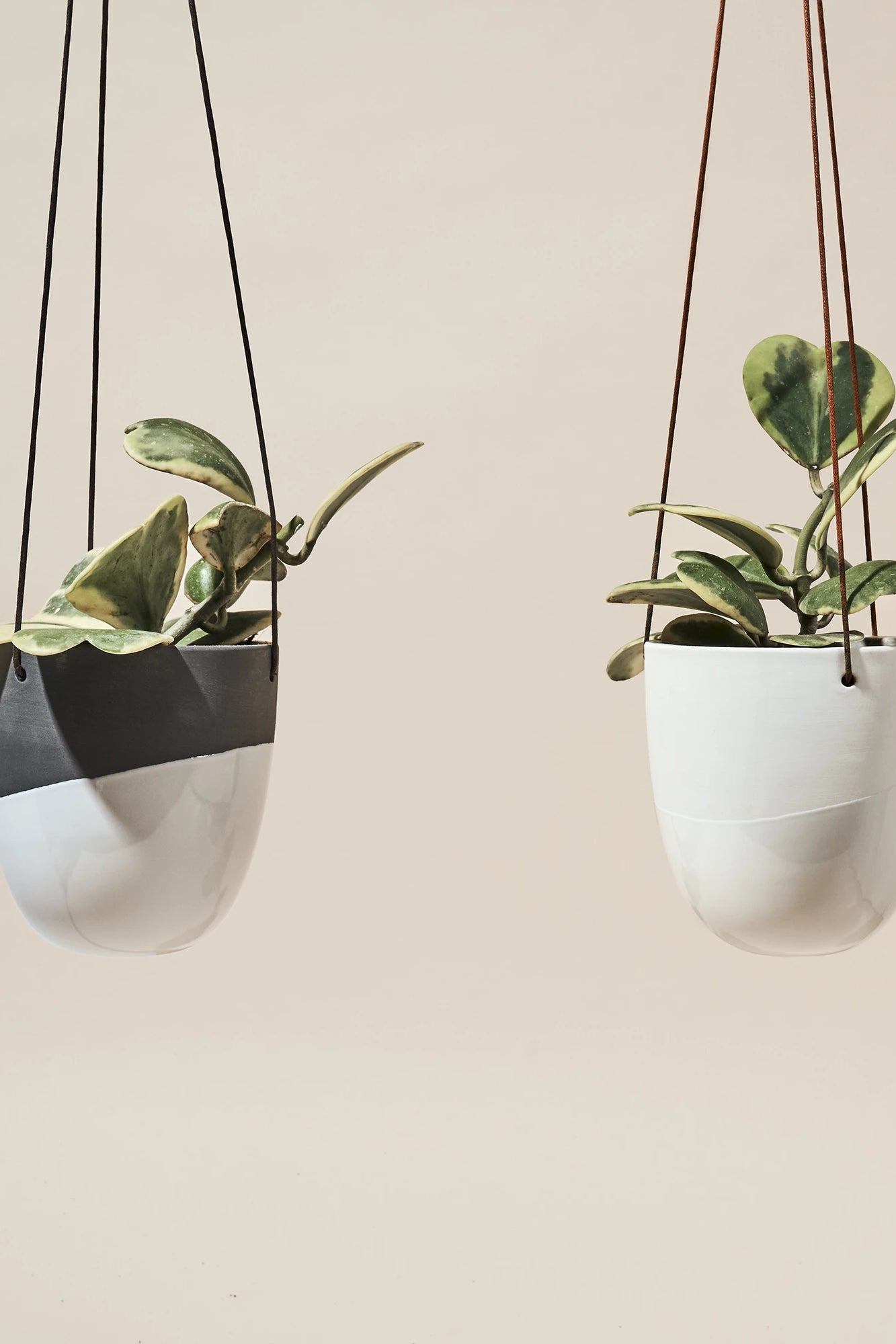 Two Chive Bobbin porcelain hanging planters in black and in white styled with plants against a neutral background.