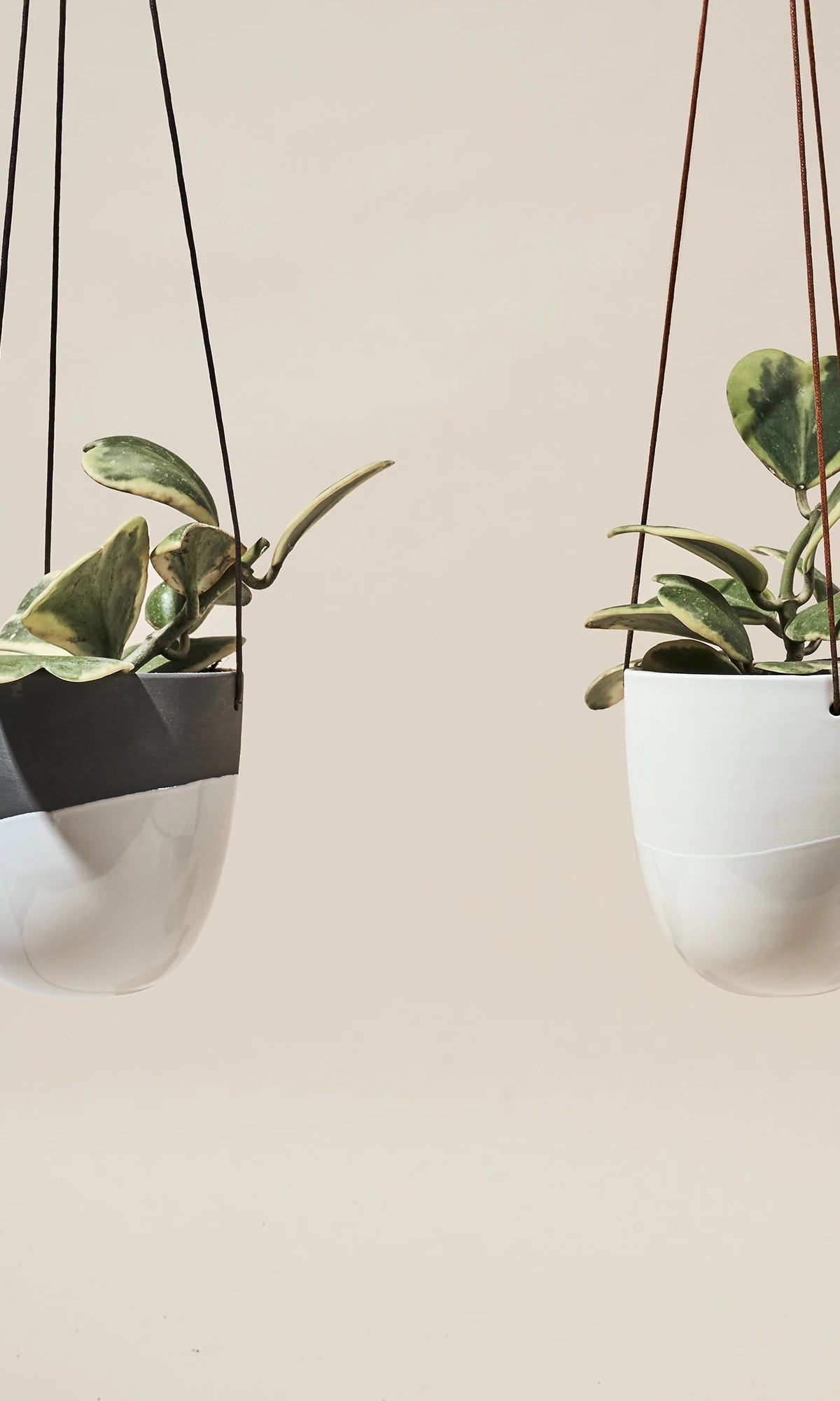 Two Chive Bobbin porcelain hanging planters in black and in white styled with plants against a neutral background.