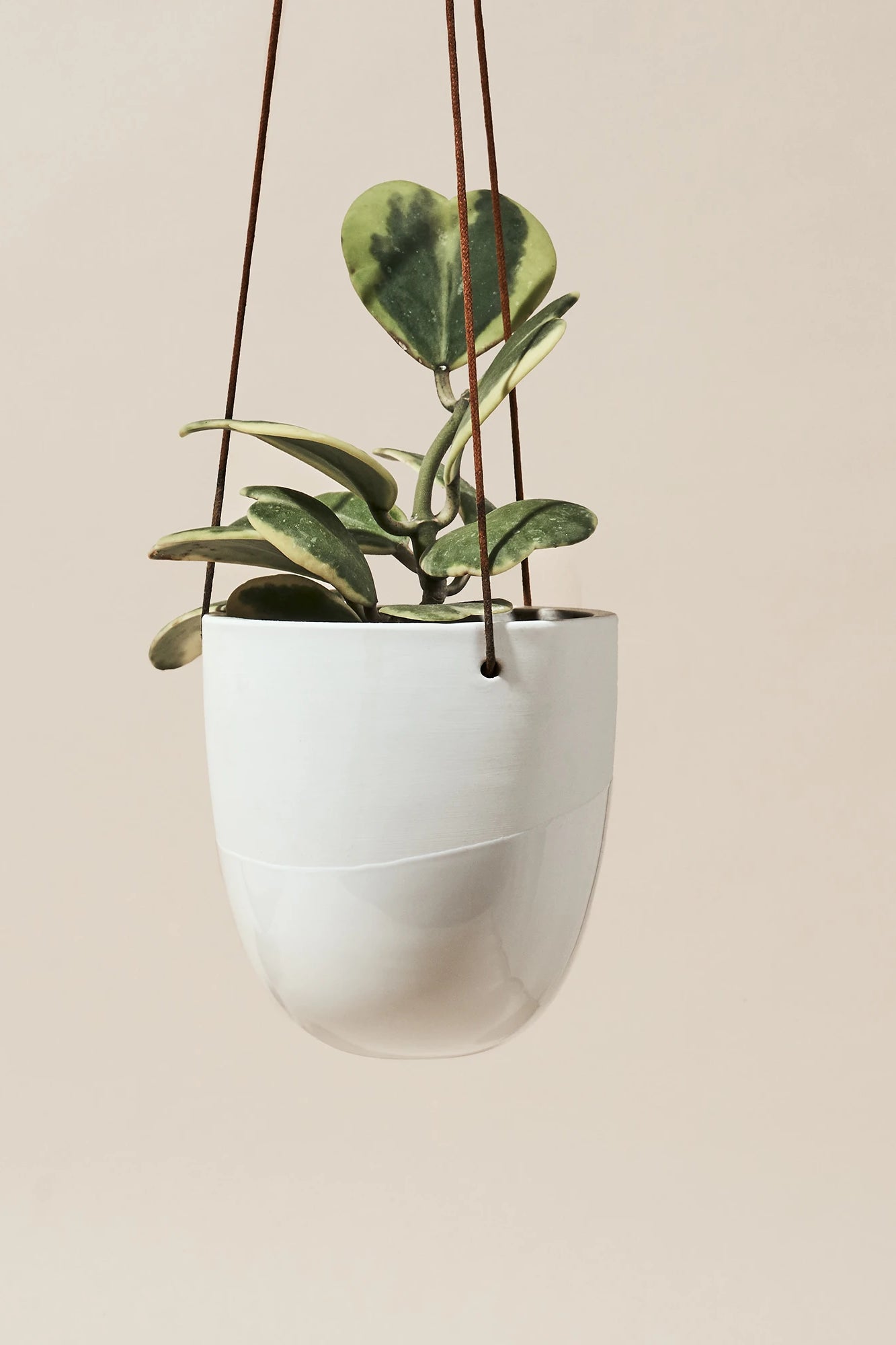 Chive Bobbin white porcelain hanging planters styled with plants against a neutral background.