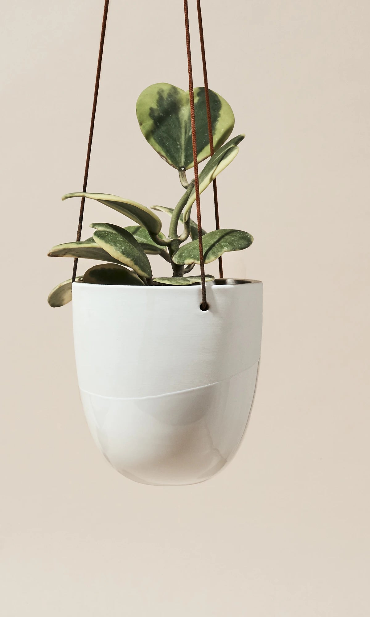 Chive Bobbin white porcelain hanging planters styled with plants against a neutral background.
