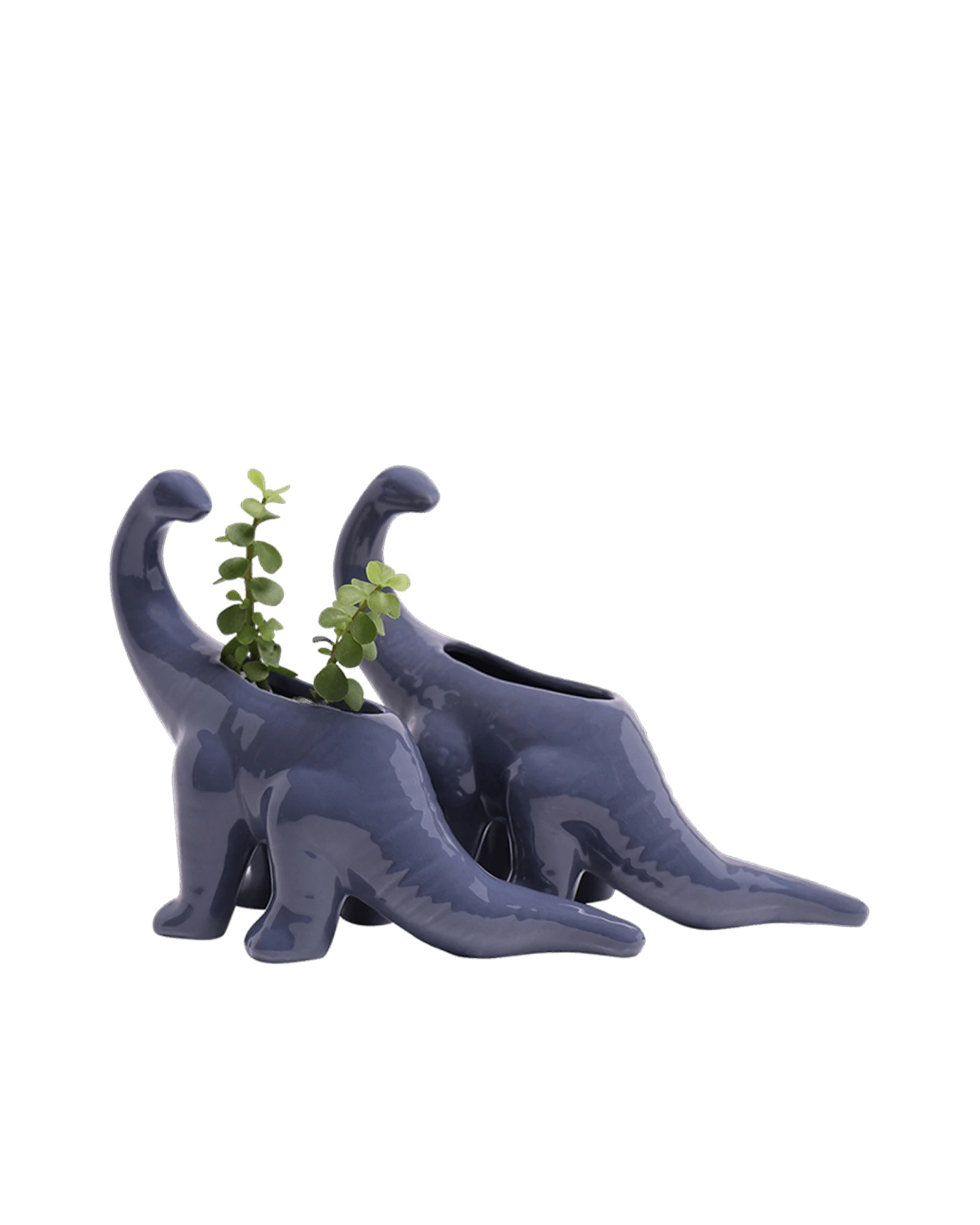 Two Chive Brontosaurus Blue Stone color glazed ceramic dinosaur shaped planters styled with a plant.