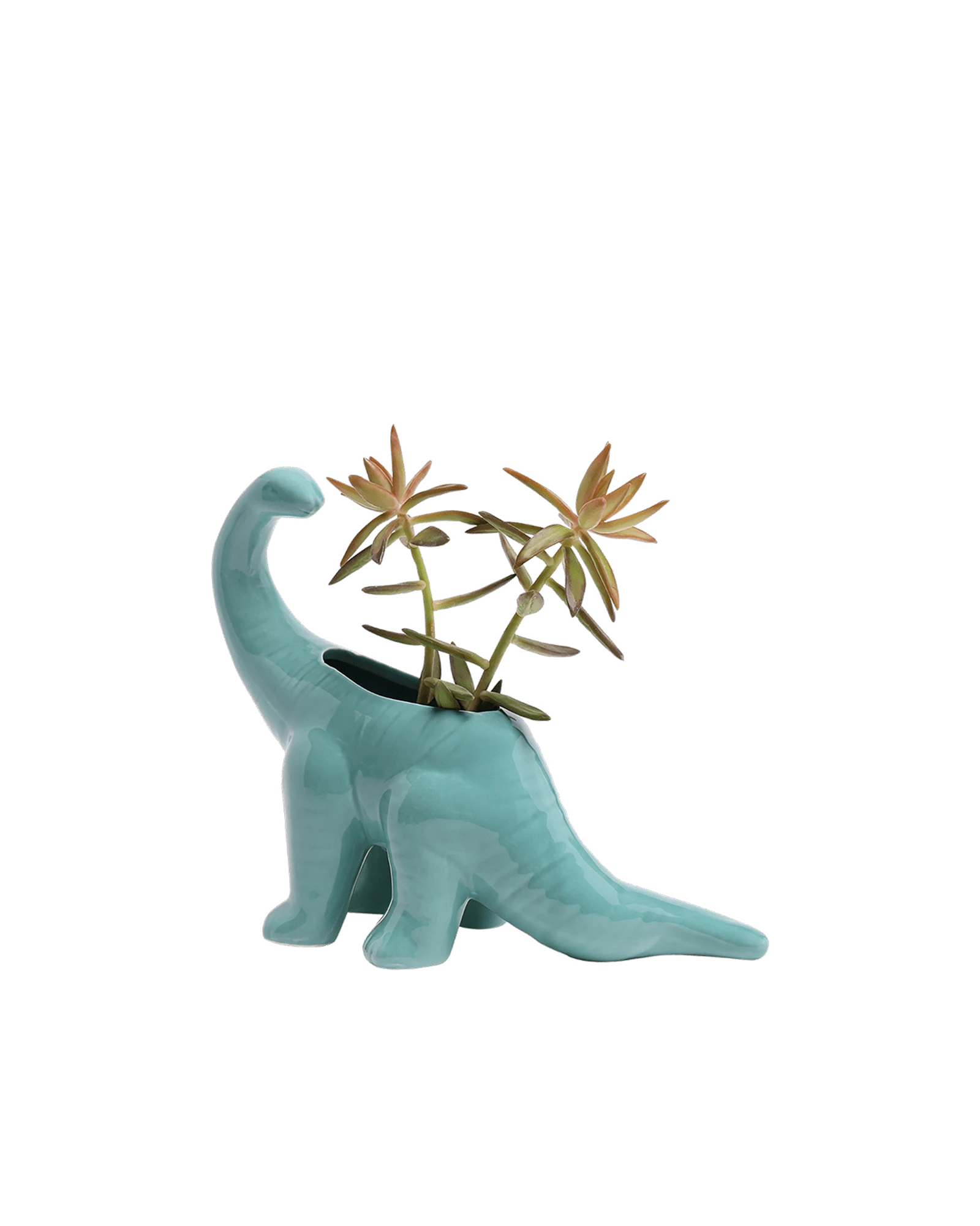 Chive Brontosaurus Cascade teal color glazed ceramic dinosaur shaped planter styled with a plant.