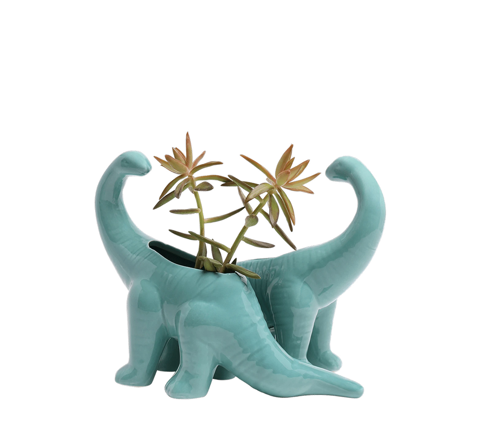 Two Chive Brontosaurus Cascade teal color glazed ceramic dinosaur shaped planters styled with a plant.