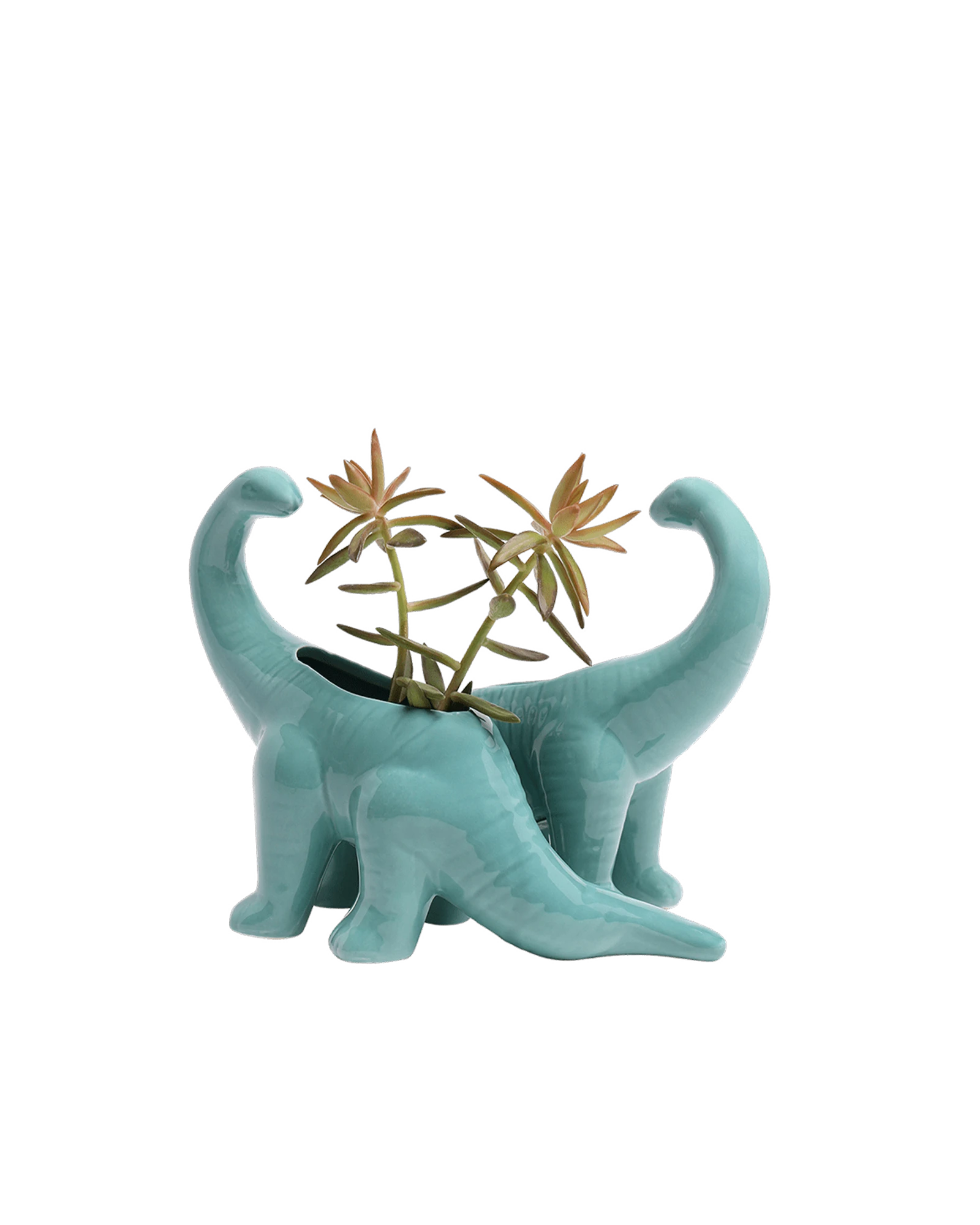 Two Chive Brontosaurus Cascade teal color glazed ceramic dinosaur shaped planters styled with a plant.