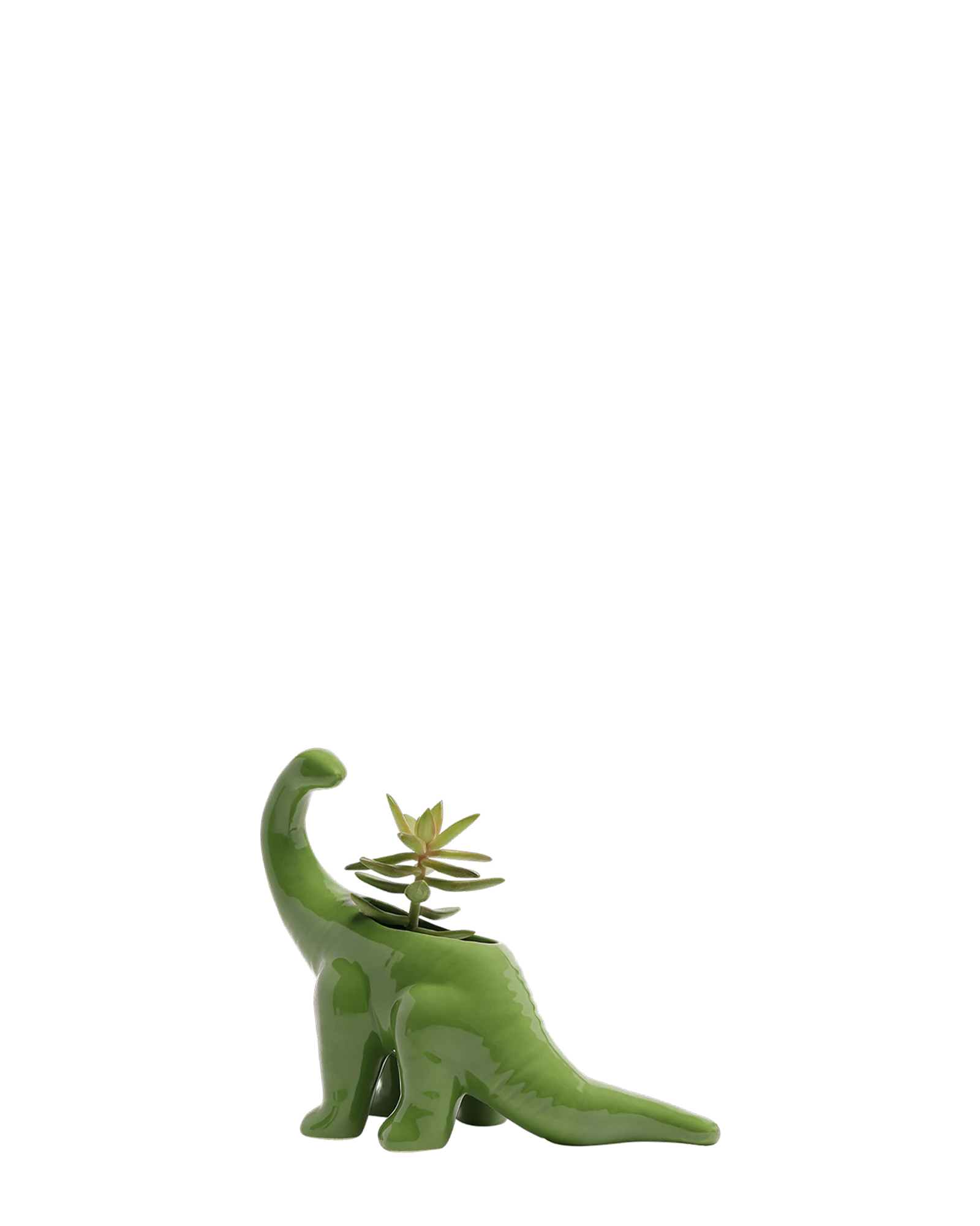 Chive Brontosaurus Foliage green color glazed ceramic dinosaur shaped planter styled with a succulent.
