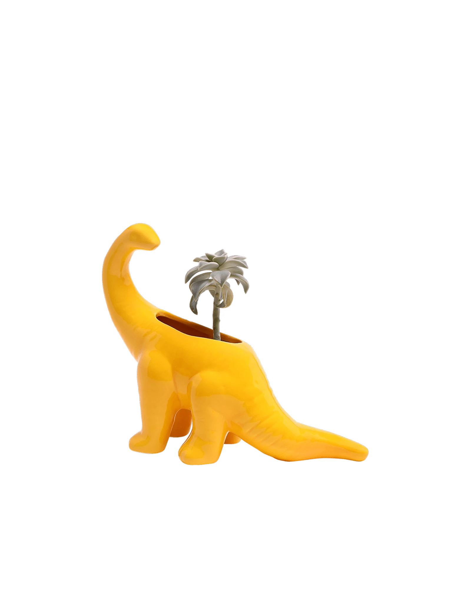 Chive Brontosaurus Lemon Chrome yellow color glazed ceramic dinosaur shaped planter styled with a succulent.