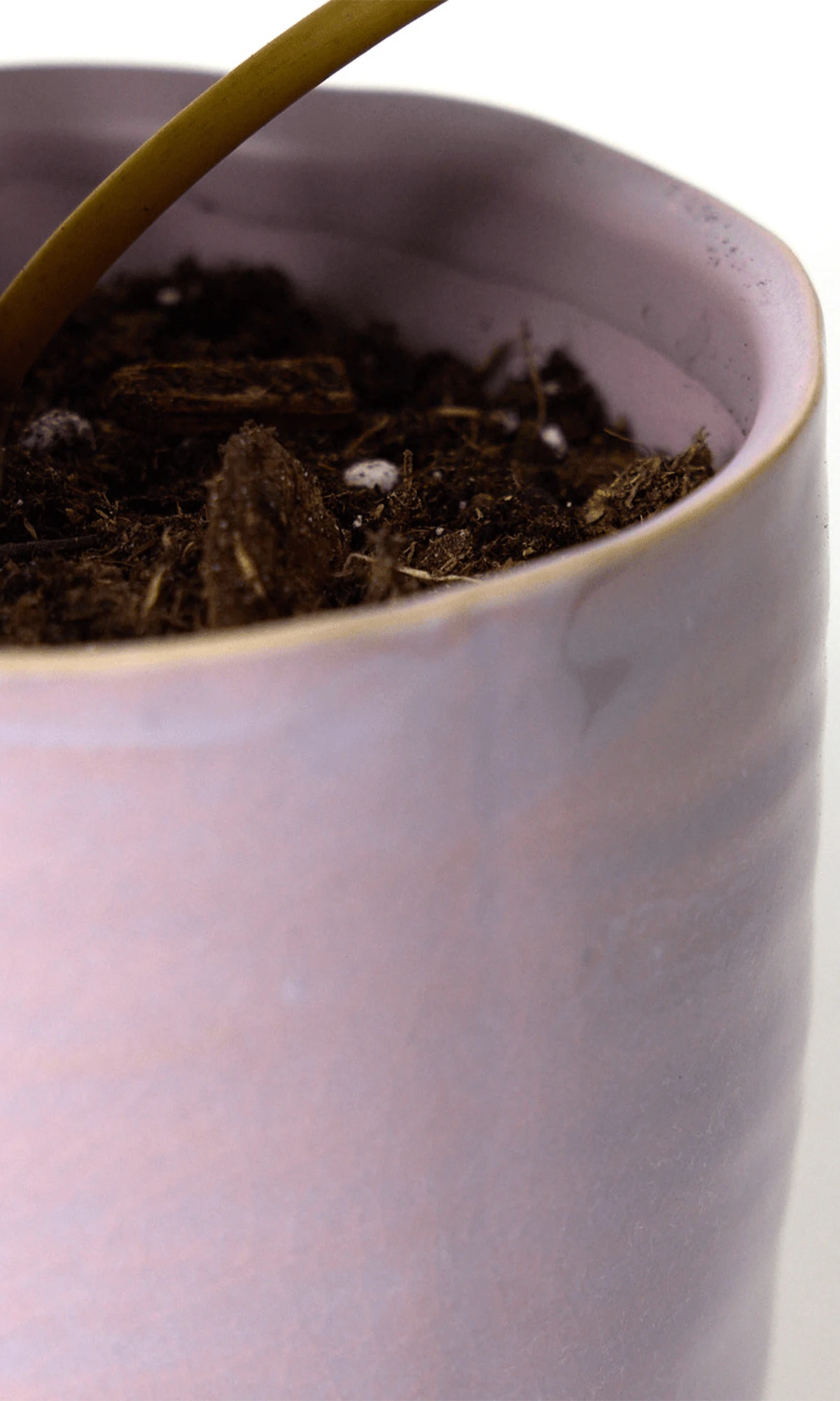 Close-up of the gradient color finish on a Chive Channa mauve ceramic medium planter pot.