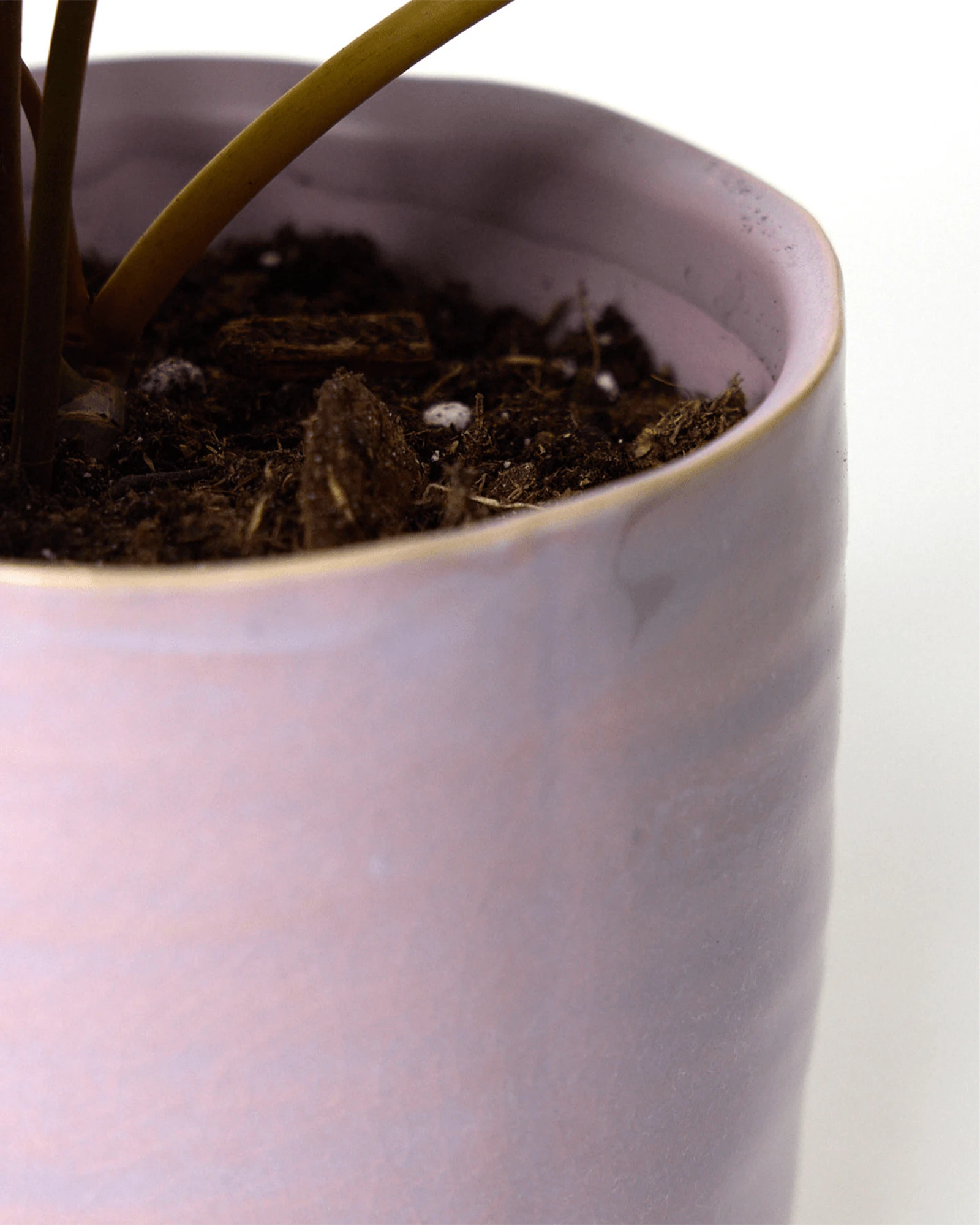 Close-up of the gradient color finish on a Chive Channa mauve ceramic medium planter pot.